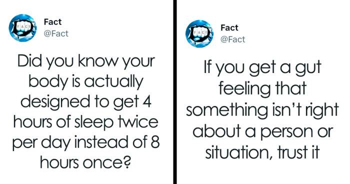 The ‘Fact’ Twitter Page Drops The Most Intriguing And Sometimes Uncomfortable Truths About Life And Here Are 37 Of Them