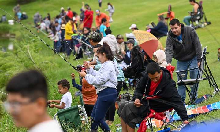 Go + Do events for June 7