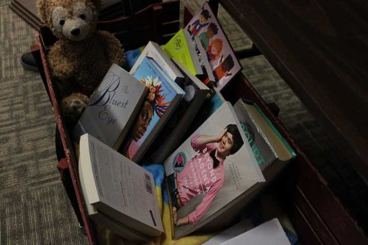 Federal court decision supports APLS Board efforts to remove controversial books from public libraries