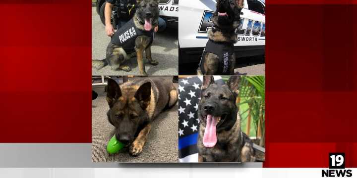 Wadsworth Police honor retiring K9 Zoro
