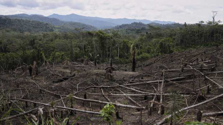 Cuts to USAID severed longstanding American support for Indigenous peoples around the world