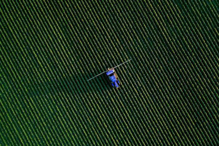 El Índice de precios de alimentos de la FAO cae 0.8% en mayo pese al aumento de carne y lácteos
