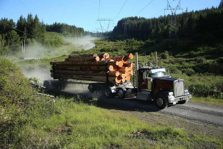 In Washington’s forests, Trump’s timber mandate looks shaky