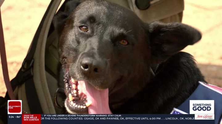 Meet Lambo: The newest member of Oklahoma's Task Force 1