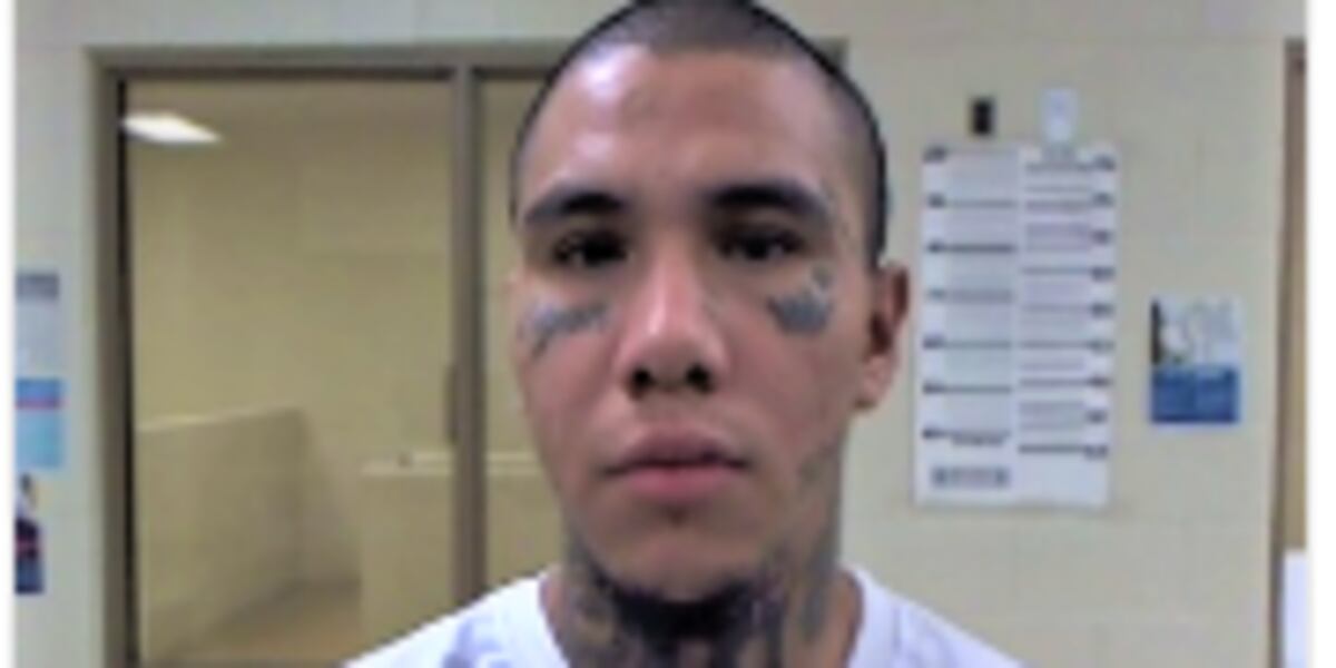 ICE arrests gang member