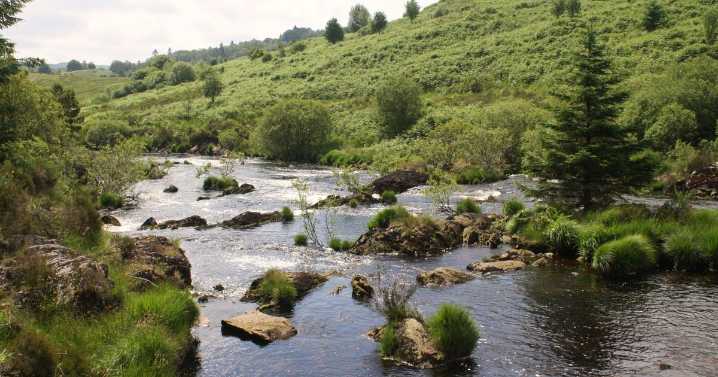 Dumfries and Galloway river levels continue recovery after prolonged dry spell
