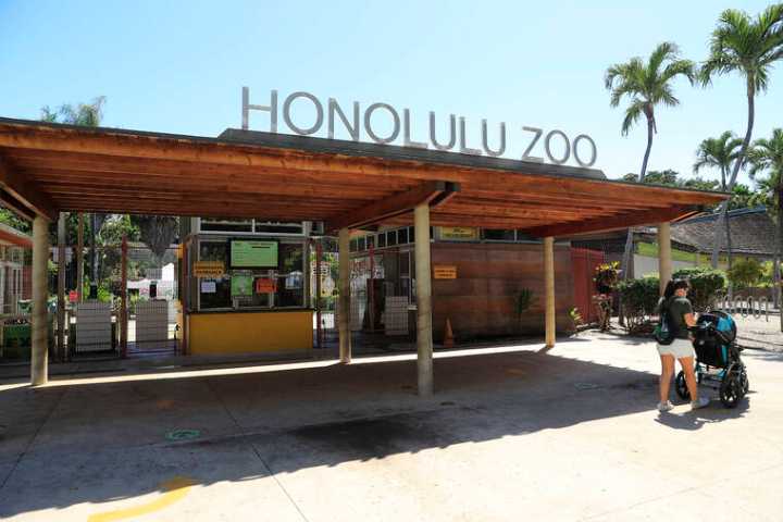 Letter: Honolulu Zoo has now improved to ‘perfection’