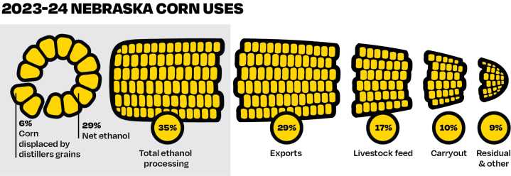 Flatwater Explains: Where Does Nebraska’s Corn Go?