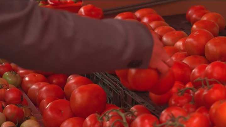 Tomatoes recalled in Georgia over deadly salmonella risk, FDA says