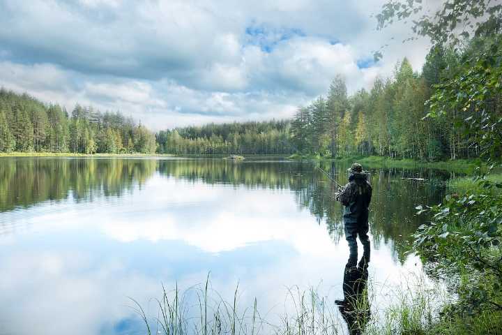 Freshwater U.S. Fish Carry Parasitic Flatworm That Can Infect Humans