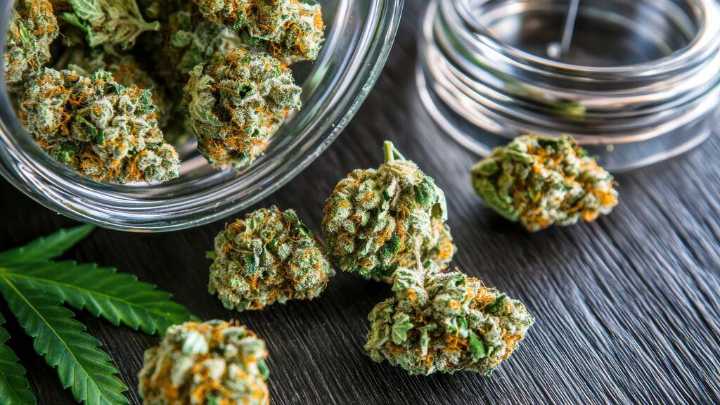 Comerciantes del norte de Texas: “Prohibir el THC es acabar con nosotros”