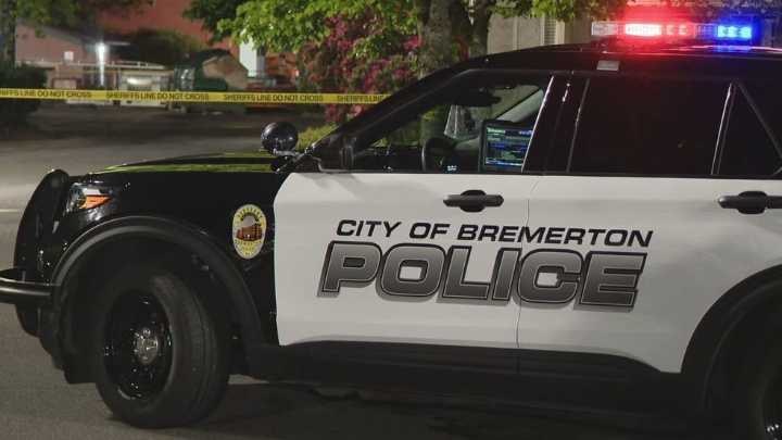 Teen boy stabbed to death by brother in Bremerton