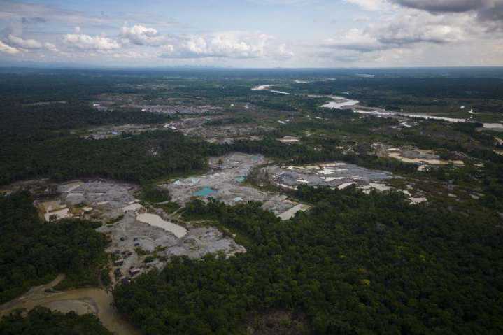 Colombia reports 33% drop in deforestation in early 2025, with major progress in Amazon parks
