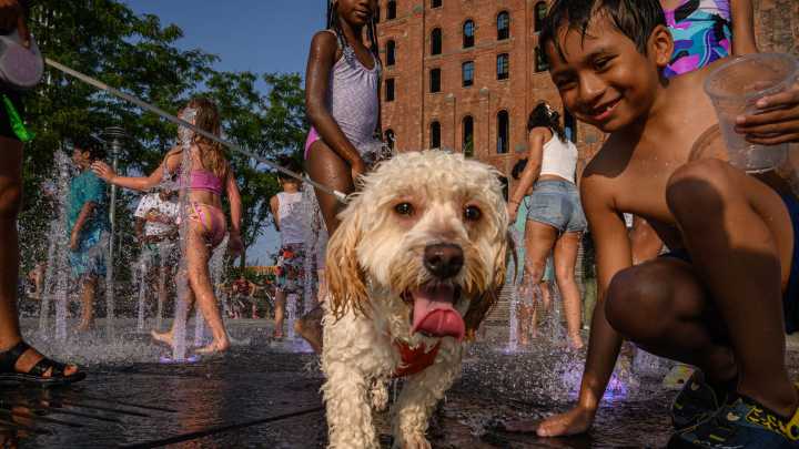 Just4kids: Why don’t humans have hair all over their bodies? A biologist explains