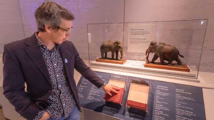 New Utah exhibit offers unique perspective on mammoth, other aspects of the ice age
