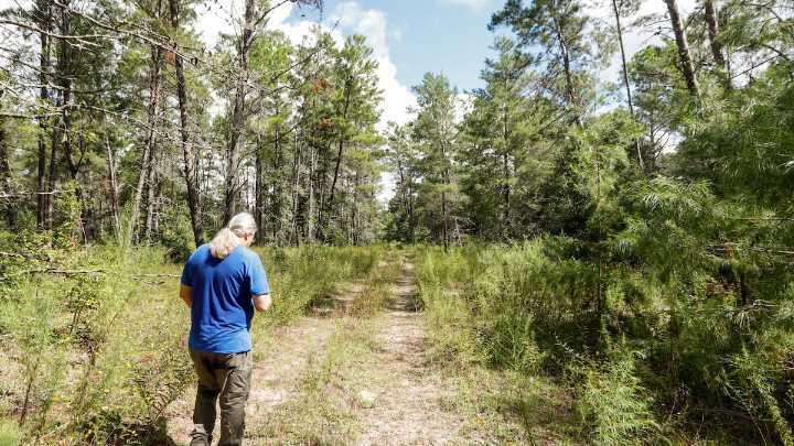 Golf developer that once sought Florida forest land could add to it instead