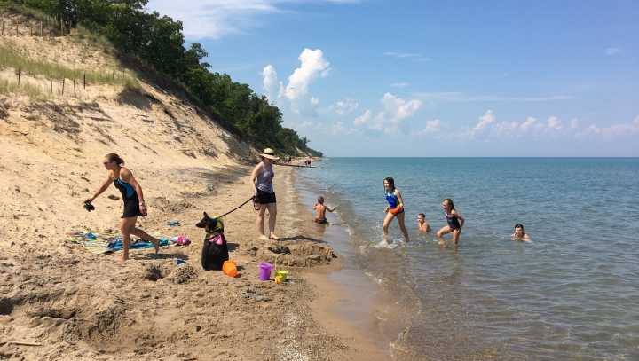 Oakland County beaches are closed because of bacteria counts. What to know
