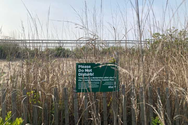 Rockaway is a New York Coastal Community Trying to Fight Erosion