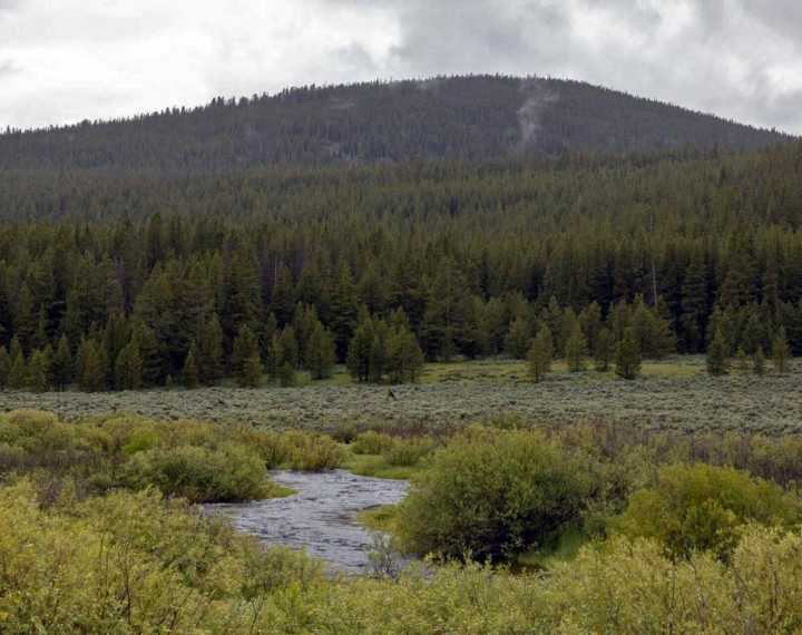 Summer to bring drought, low rivers for most of Montana