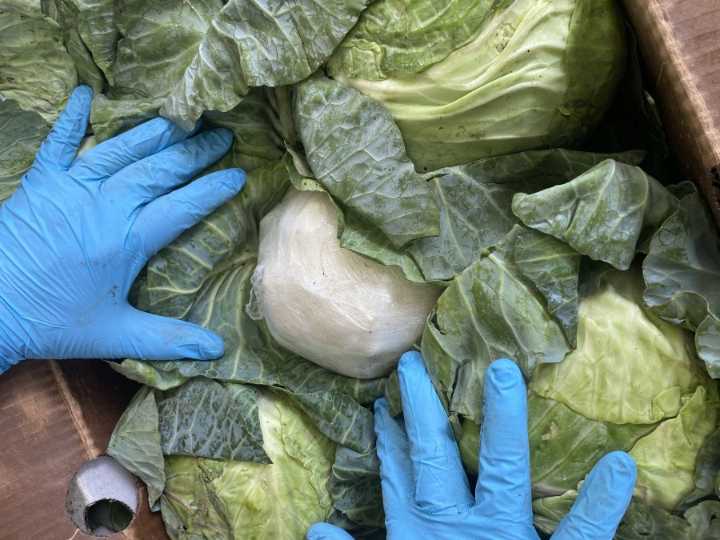 Cabbage heads filled with meth balls land Mexican man in prison