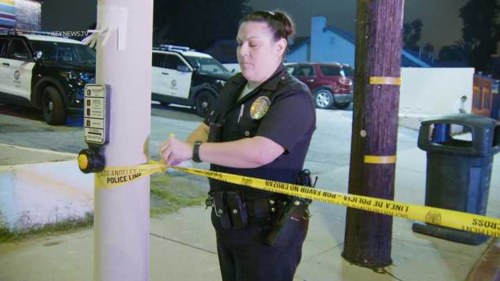 Armed suspect fatally shot by police in South LA