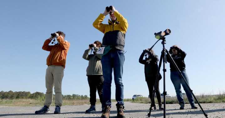 Go Birds: 24 hours inside the World Series of Birding