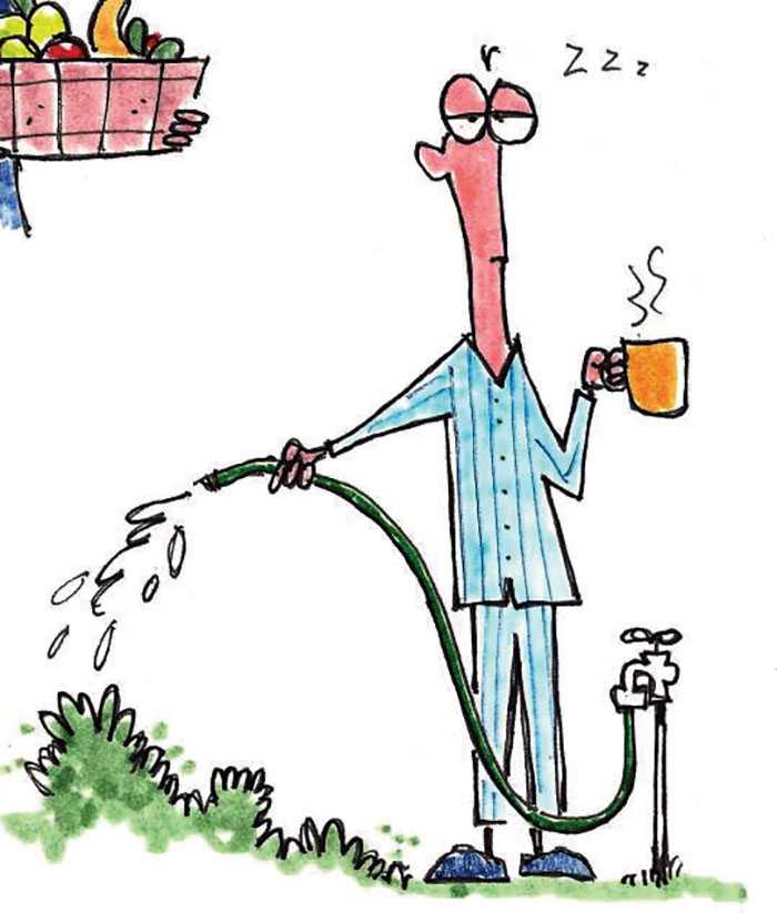Darrell Blackwelder: Irrigation is important to keep bedding plants alive