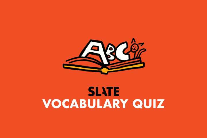 A Person Described as Voluble Does a Lot of Which Activity?