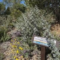 Tule River Parkway Tour June 14