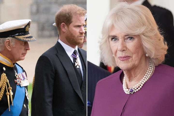 How Queen Camilla Feels About King Charles and Prince Harry’s Royal Rift (Exclusive)