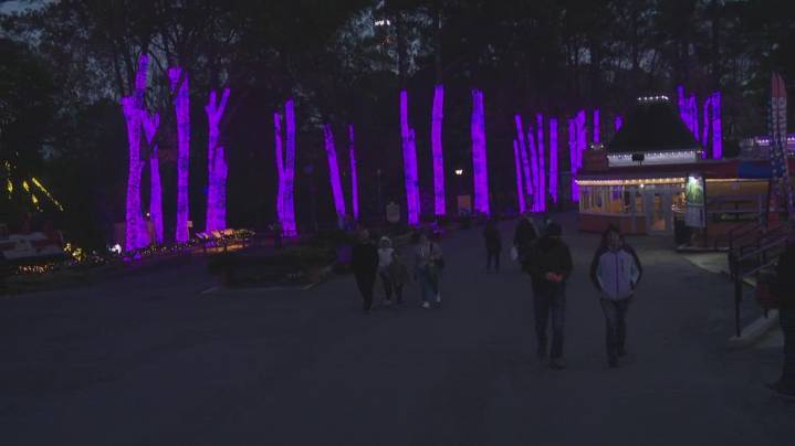After 10 years, Six Flags is discontinuing Holiday in the Park for 2025