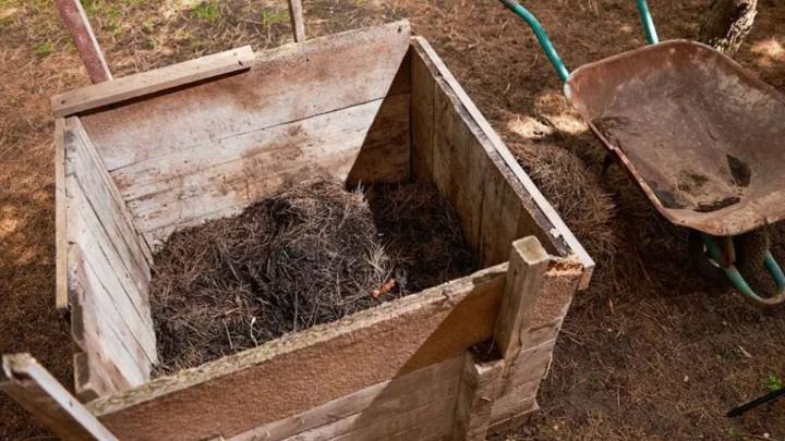 Rescataron a un hombre que era sometido a trata laboral en una chacra de San Patricio del Chañar