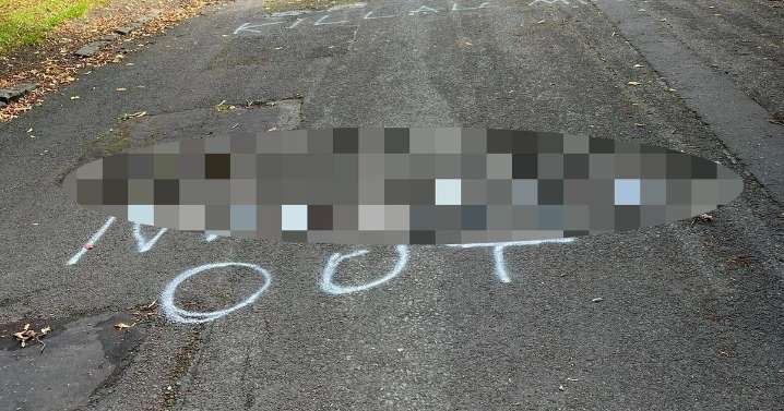 Vile racist graffiti at Airdrie park leaves local feeling 'horrible'
