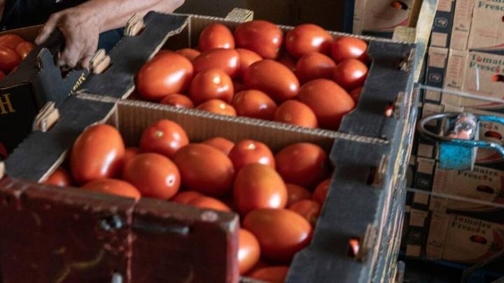 ¿Cuál será el impacto de los aranceles al jitomate mexicano en California?