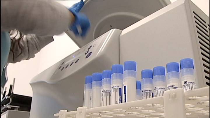 'Rapamicina' y 'trametinibcóctel', el cóctel que promete alargar la esperanza de vida un 30%