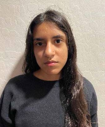 Mesa Police searching for missing teens