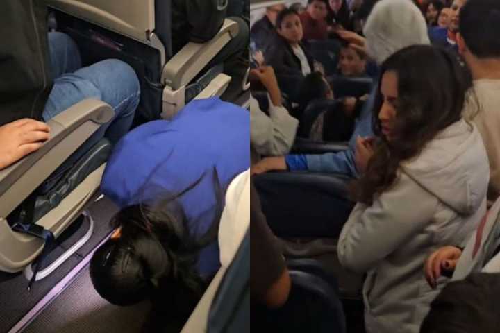 Insólito: Hámster escapó de su dueña en avión y retrasó vuelo por tres horas en Perú