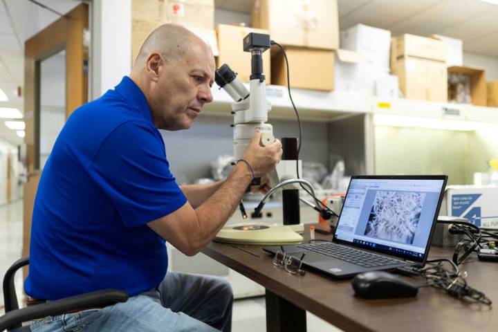 Semillas de Florida viajarán al espacio para estudiar su resistencia al cambio climático