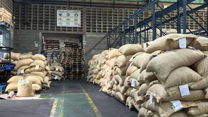 Venezuela exportó 50 toneladas de cacao mirandino a Rusia