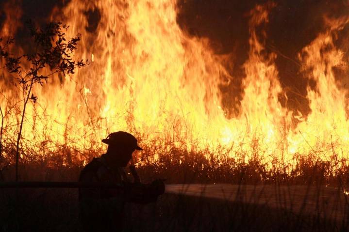 Policía de Indonesia arresta a 44 sospechosos de provocar incendios forestales