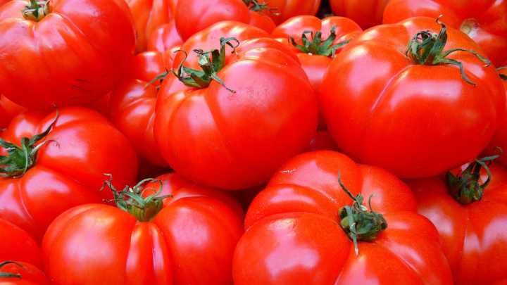 Here's how a major Mexican tomato exporter is affected by Trump’s 17% tariff