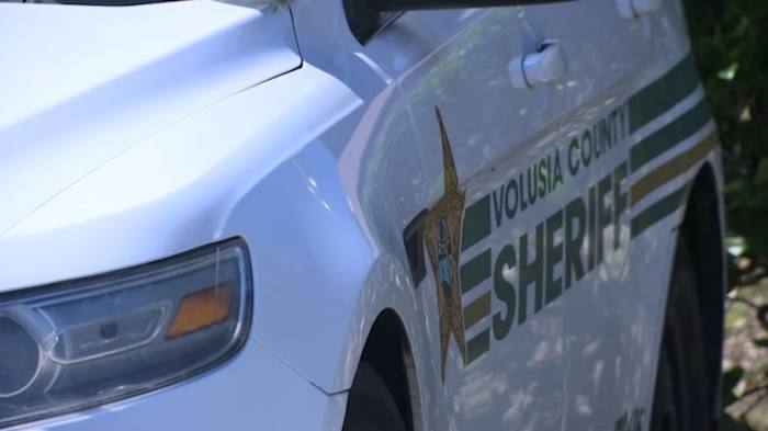 Dog kills infant in Volusia County, sheriff says