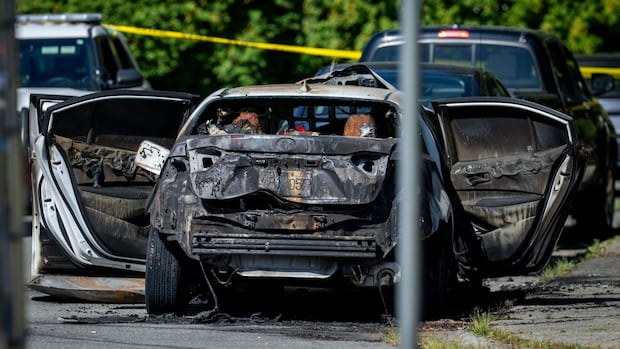3 dead, cars and garage burned hours after reported 'neighbourhood dispute' in Maple Ridge: police