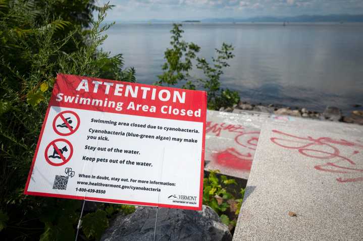 Cyanobacteria warning closes most of Burlington’s beaches