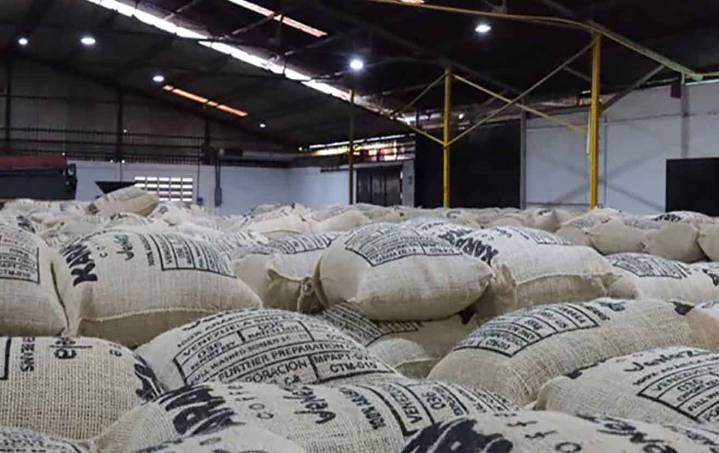 Venezuela exporta 95,9 toneladas de café verde a EE. UU.