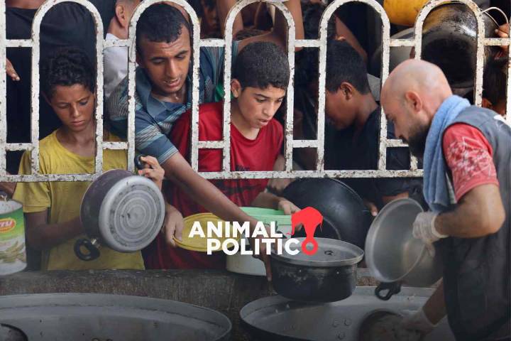 Periodista relata su día a día frente al riesgo de "hambruna" cubriendo la guerra en Gaza