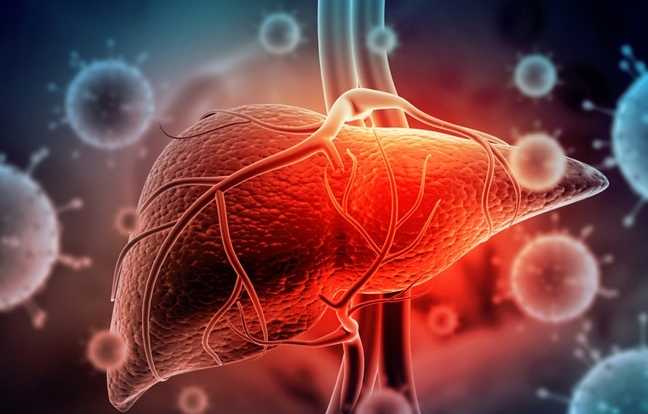 Hay que tener cuidado con la “Hepatitis” - La Tribuna Hispana USA