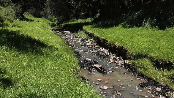 Desconoce regidor de Ecología contaminación de riachuelo en Ixtacuixtla tras derrame de combustóleo