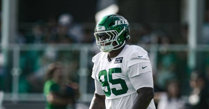 Quinnen Williams has a lot (good) to say about Jets teammates