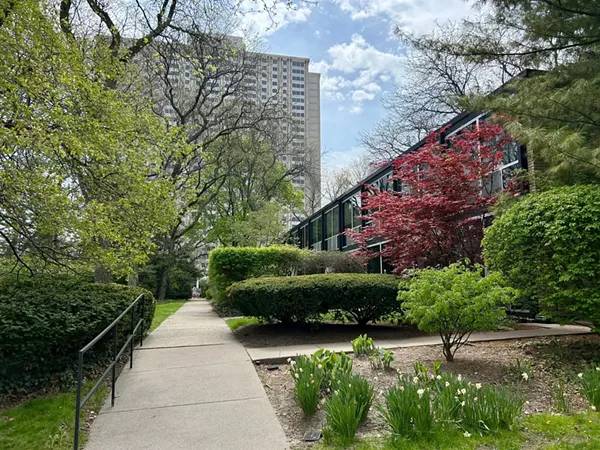 Judge rules against Detroit Thermal in Lafayette Park dispute over steam line